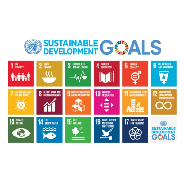 UN Sustainable Development Goals